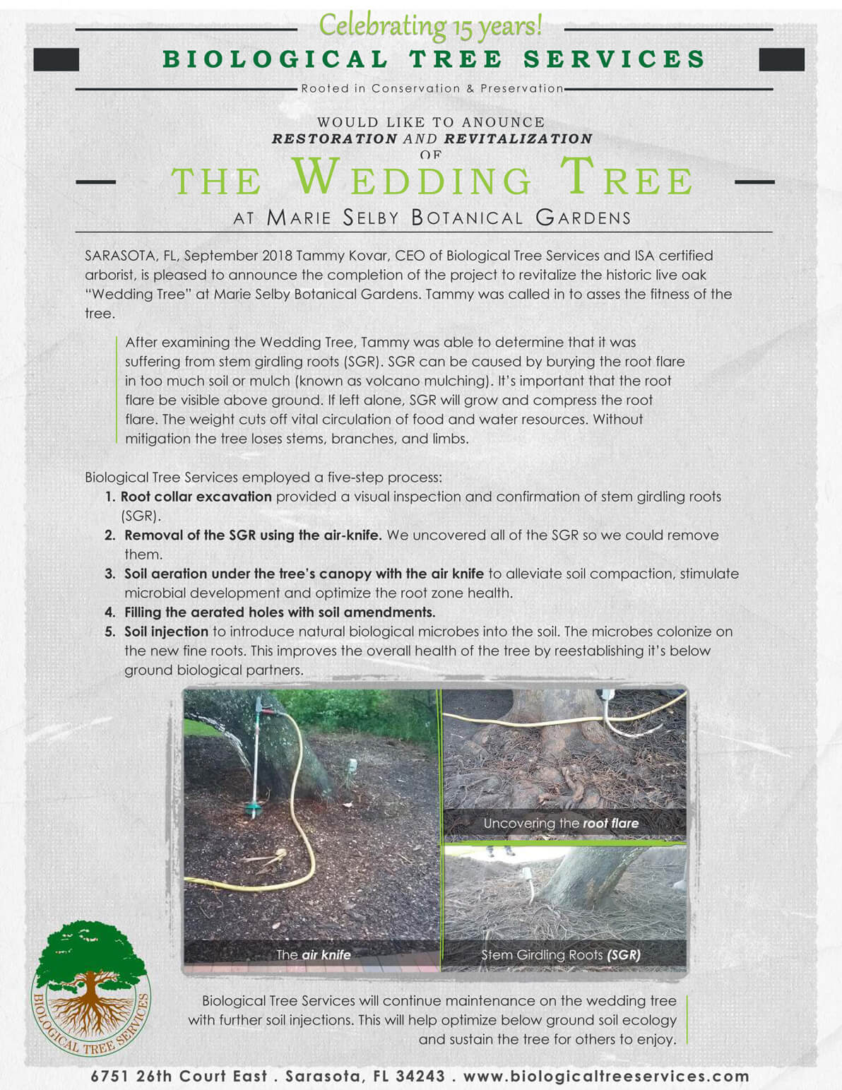 The Wedding Tree