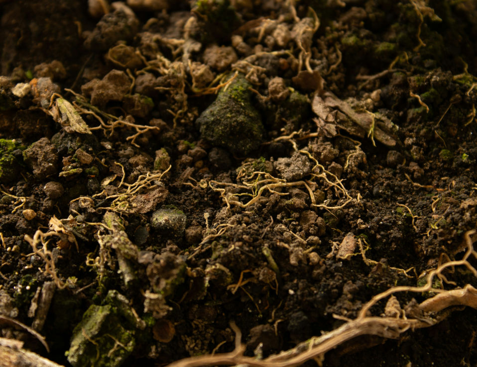 residential-crop